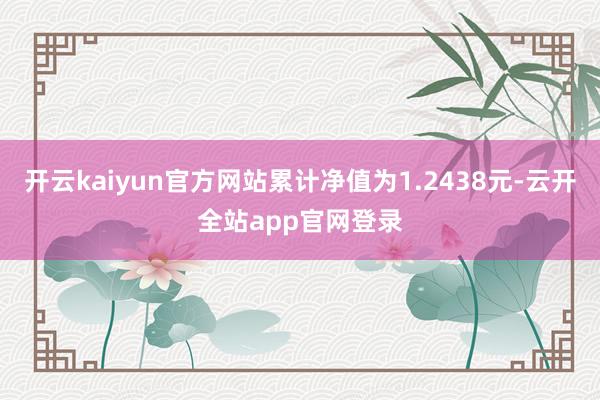 开云kaiyun官方网站累计净值为1.2438元-云开全站app官网登录