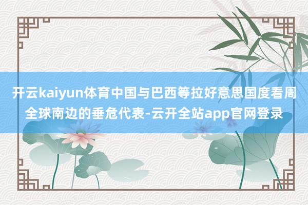 开云kaiyun体育中国与巴西等拉好意思国度看周全球南边的垂危代表-云开全站app官网登录