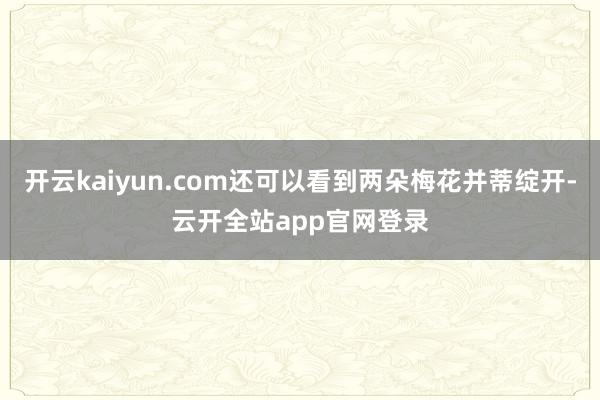 开云kaiyun.com还可以看到两朵梅花并蒂绽开-云开全站app官网登录