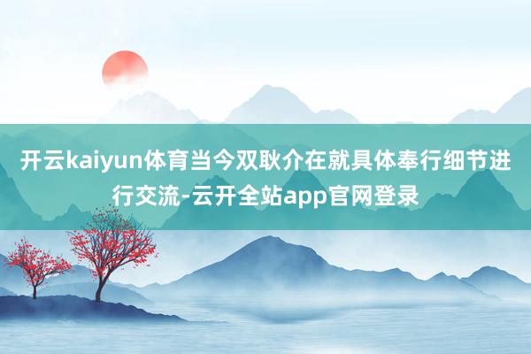 开云kaiyun体育当今双耿介在就具体奉行细节进行交流-云开全站app官网登录